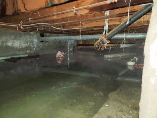 Water damage restoration process in Pearsall, TX