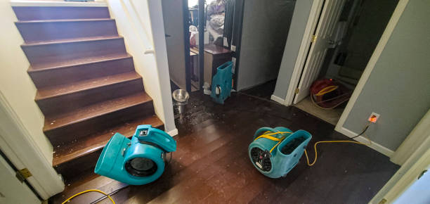Best Ceiling water damage repair  in Pearsall, TX