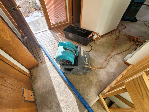 Best Sewage cleanup and water damage restoration  in Pearsall, TX