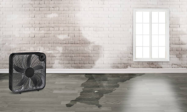 Best Emergency water damage restoration  in Pearsall, TX