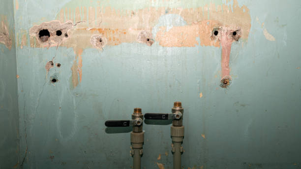 Best Water damage mitigation services  in Pearsall, TX