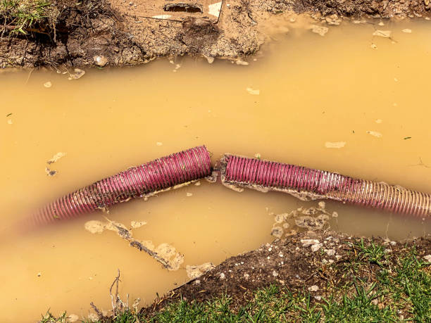 Best 24-hour water damage restoration  in Pearsall, TX