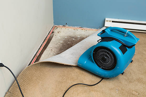 Best Local water damage restoration  in Pearsall, TX